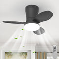 Qcyuui, Ventilateur, avec télécommande, Noir