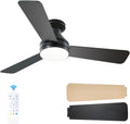 Passky, Ventilateur, Noir