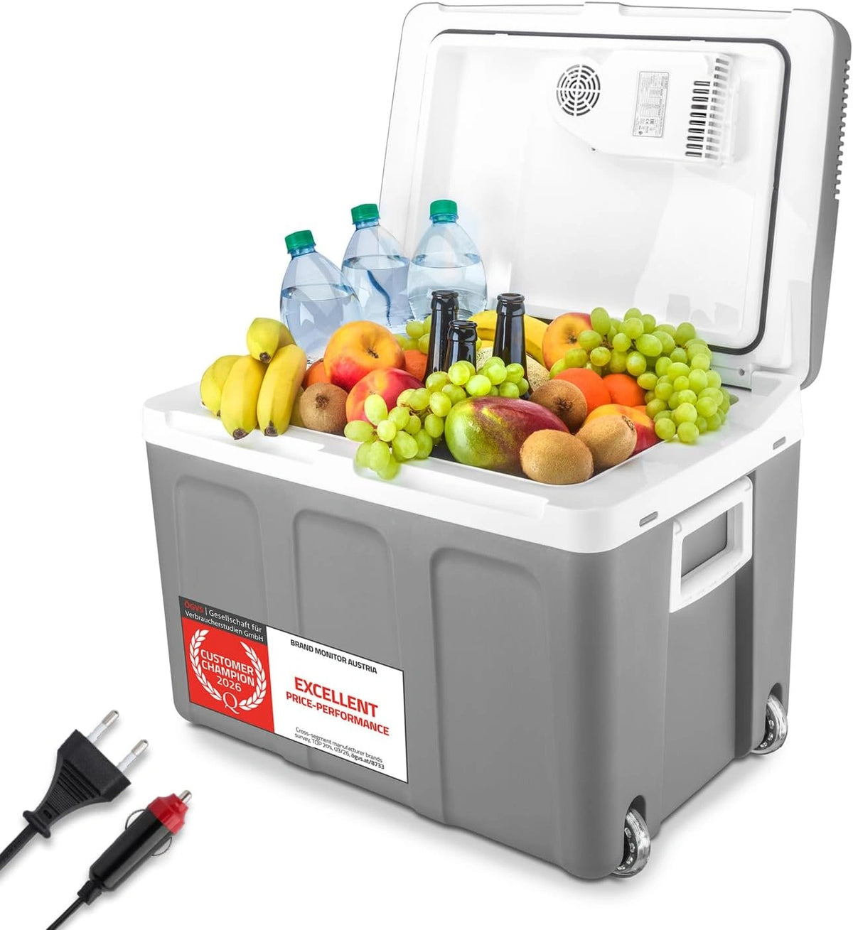 TZS, Réfrigérateur, 45L, 12V, 230V, format mobile, Gris