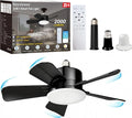 E27, Ventilateur, avec télécommande, Noir